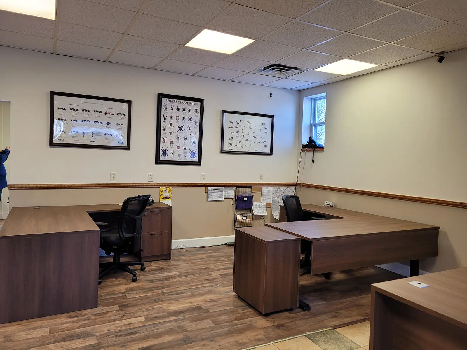 All Pest project photo 3