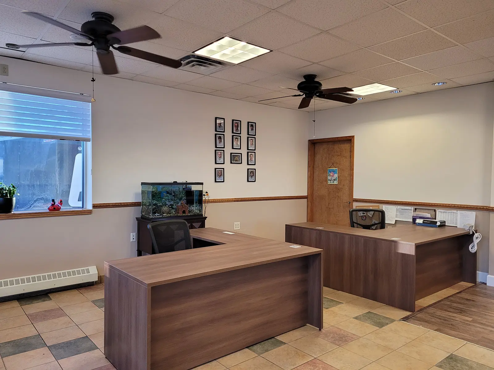 All Pest project photo 4