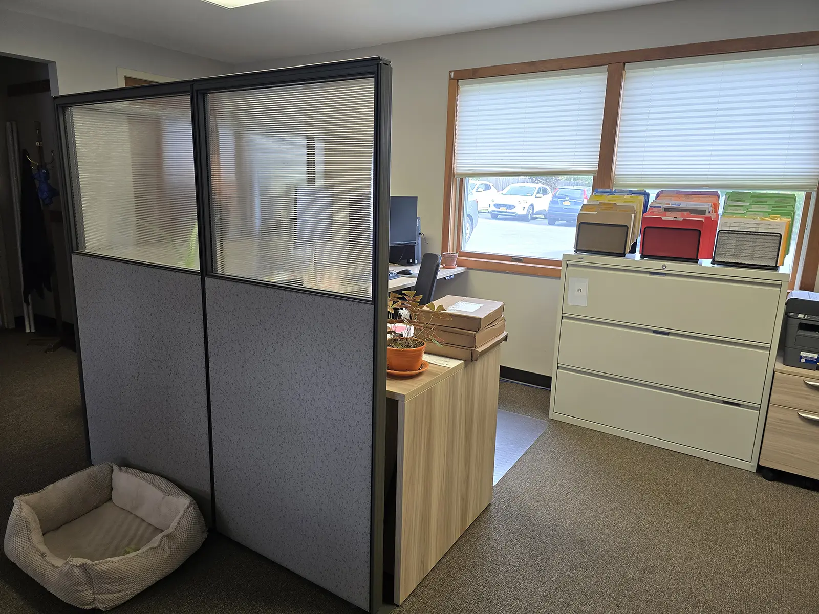 North Jefferson Improvement Association project photo 3