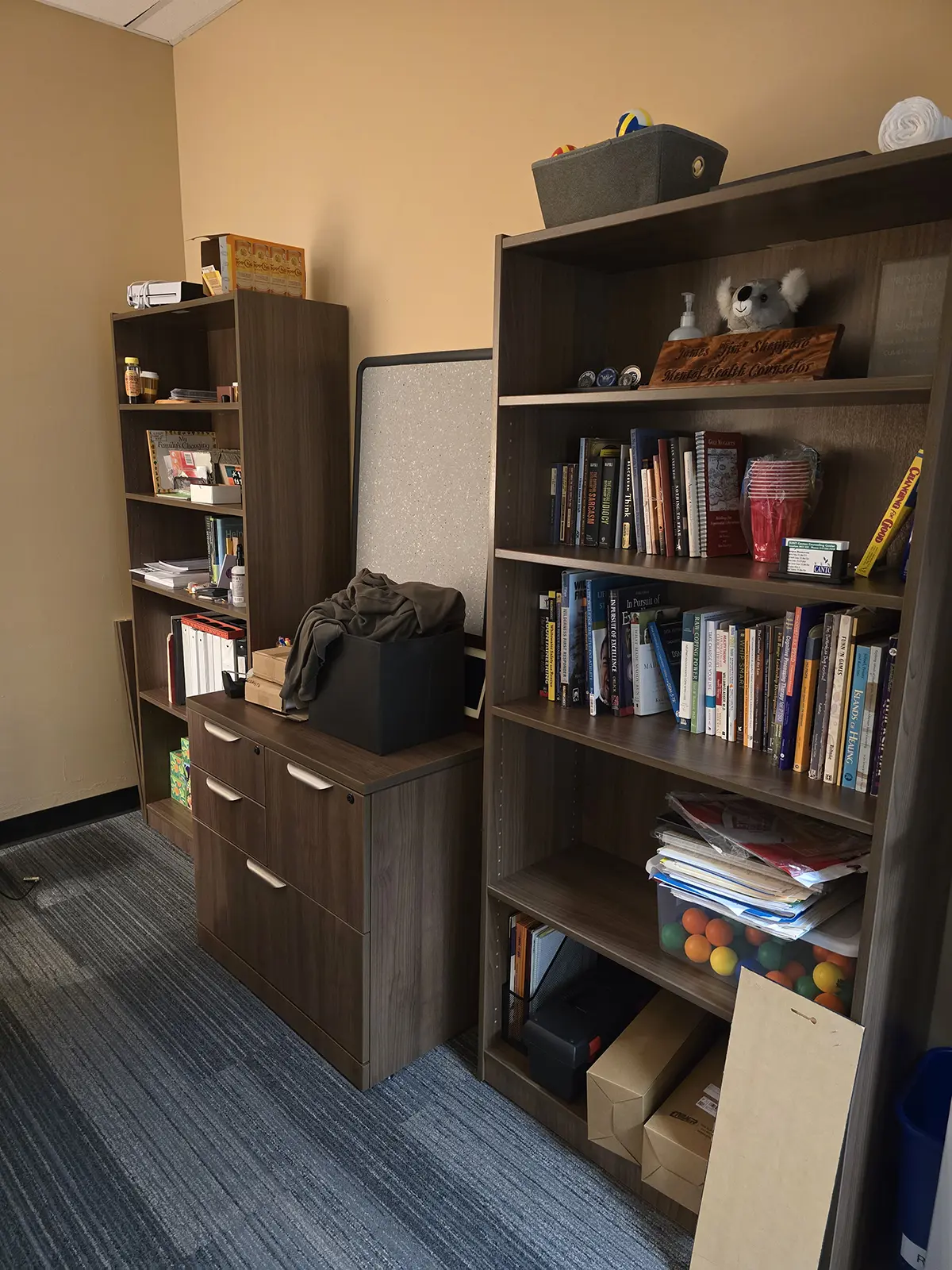 SUNY Canton – Counseling Department project photo 10