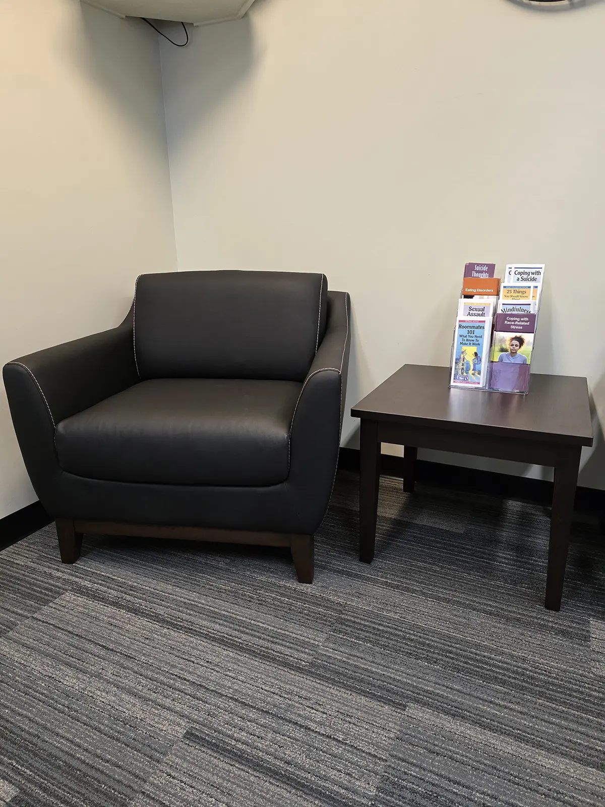 SUNY Canton – Counseling Department project photo 23